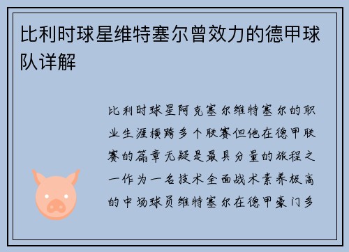 比利时球星维特塞尔曾效力的德甲球队详解