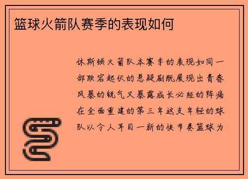篮球火箭队赛季的表现如何